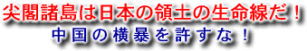 尖閣諸島は日本の領土の生命線だ!中国の横暴を許すな!